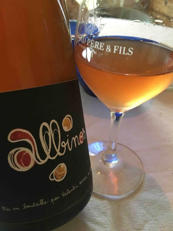 Albinos - Les Pieds Sur Terre - Valentin Morel 