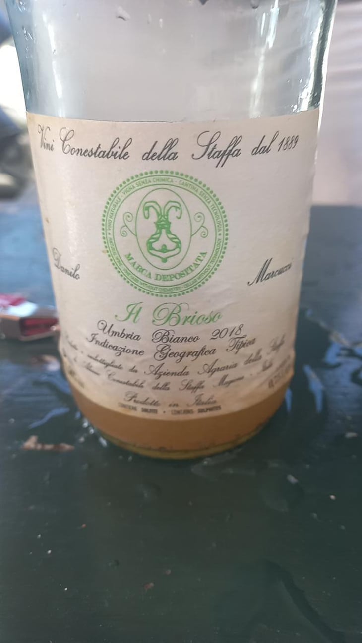 Ale - Vini Conestabile Della Staffa - Danilo Marcucci -2022