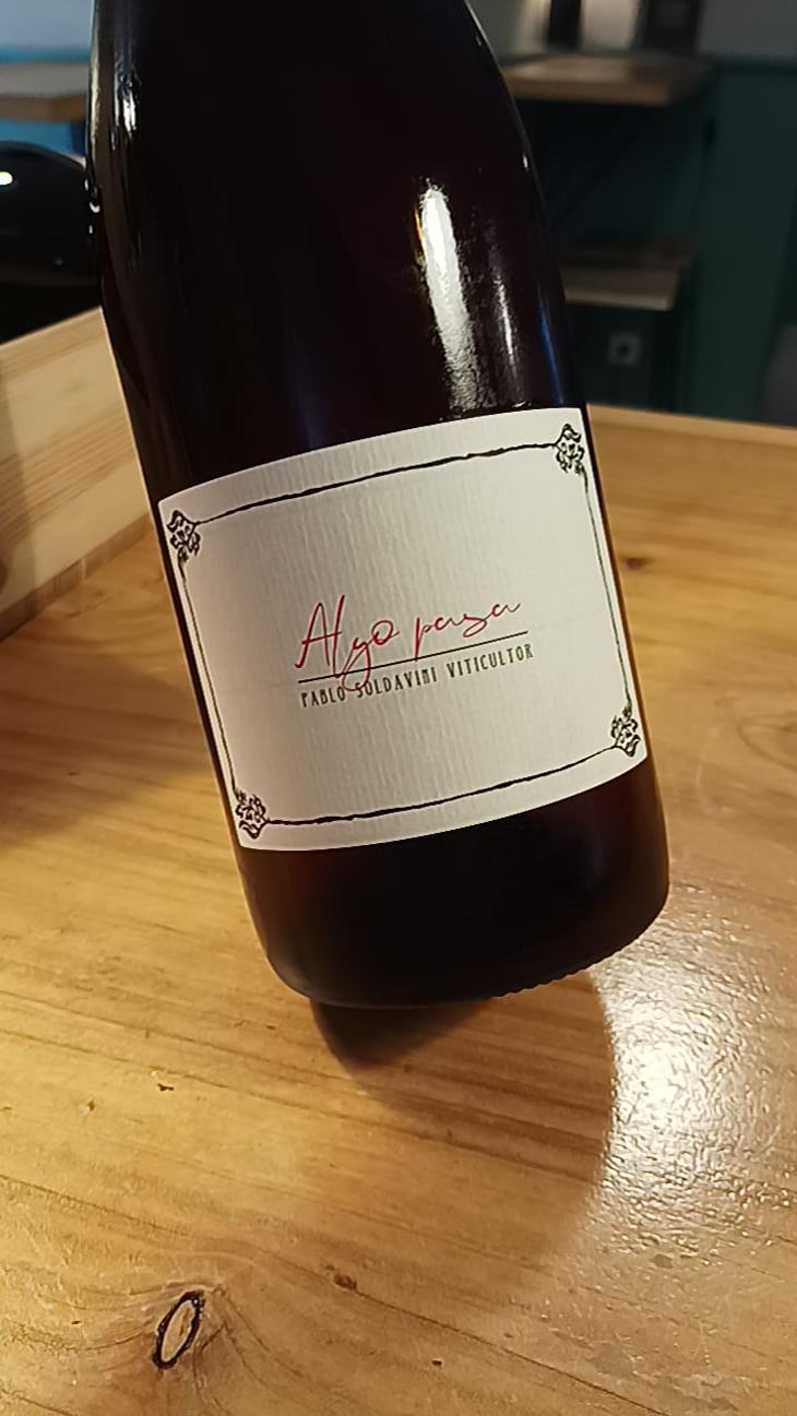 Algo pasa - Pablo Soldavini Viticultor - Pablo Soldavini -2022