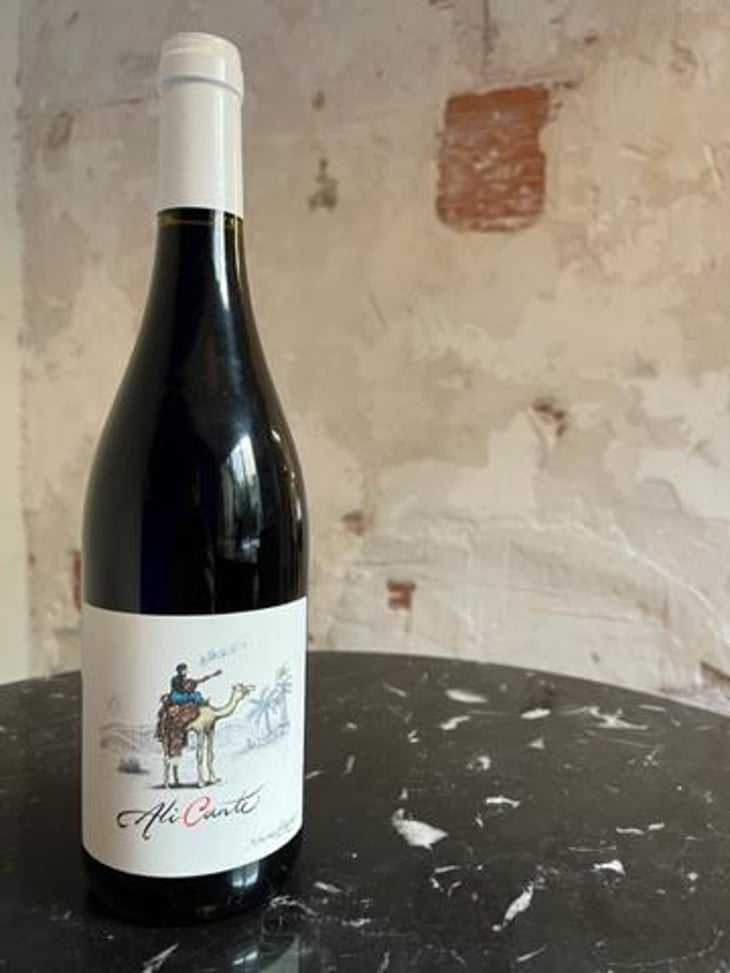 Alicante - La terrasse d’Elise - Xavier Braujou -2021