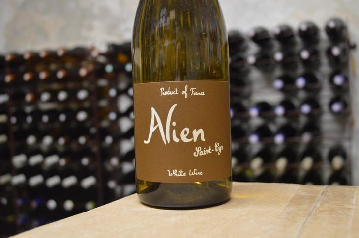 Alien - Domaine Saint-Cyr - Raphaël Saint-Cyr 
