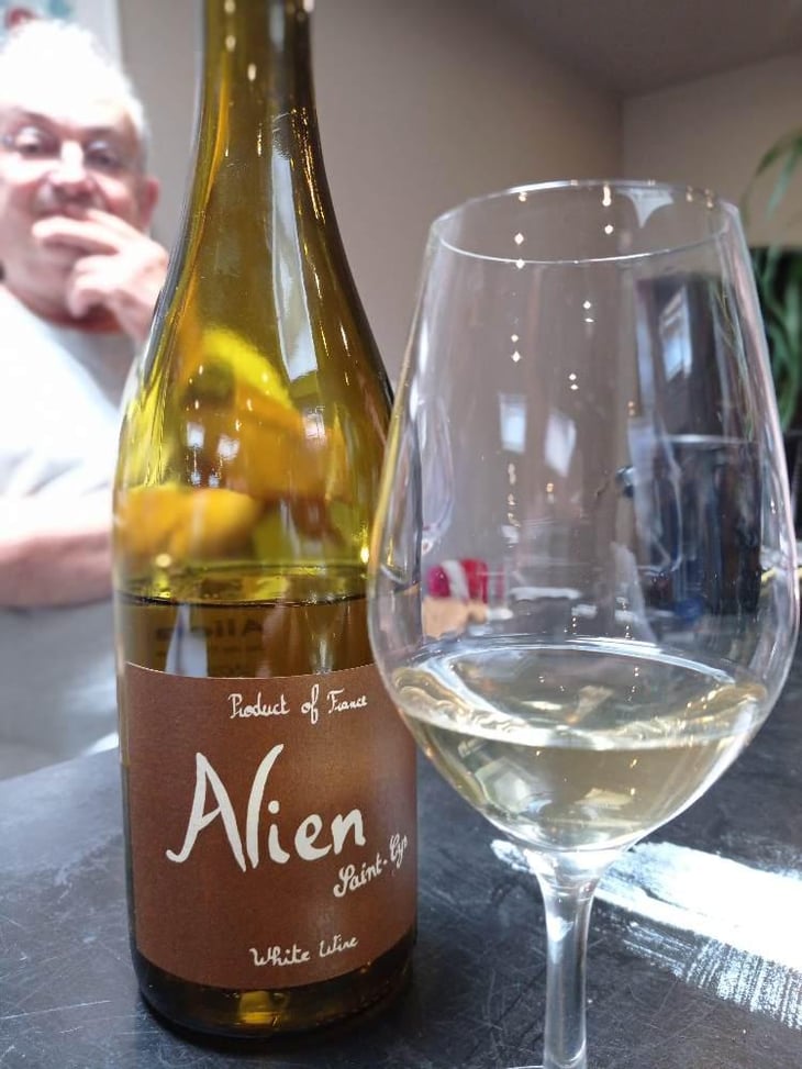 Alien - Domaine Saint-Cyr - Raphaël Saint-Cyr 