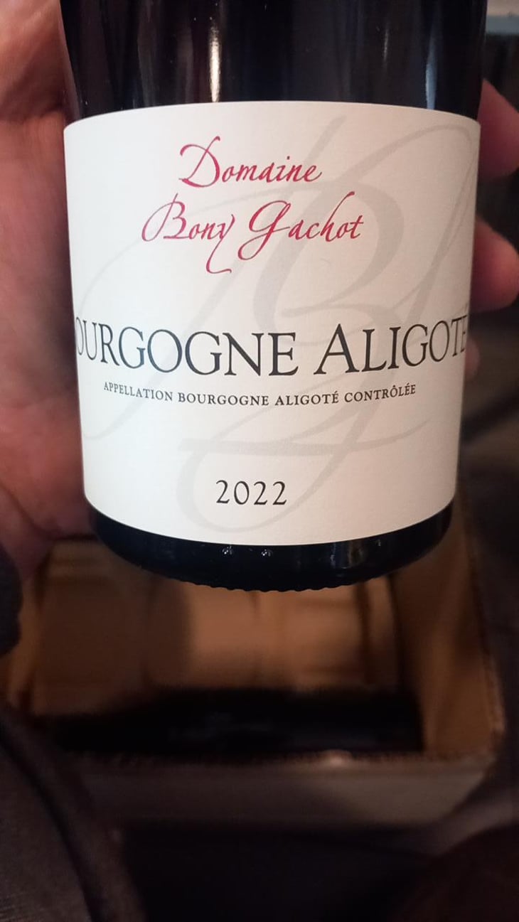 Bourgogne Aligoté - Domaine Bony Gachot - Fabienne Bony et Eva Gachot 
