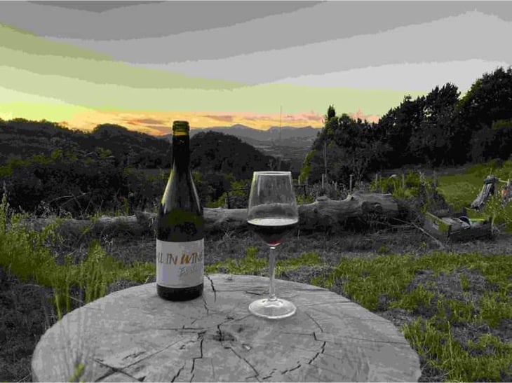 All In Wine - Es d'Aqui - Jean-Louis Pinto 