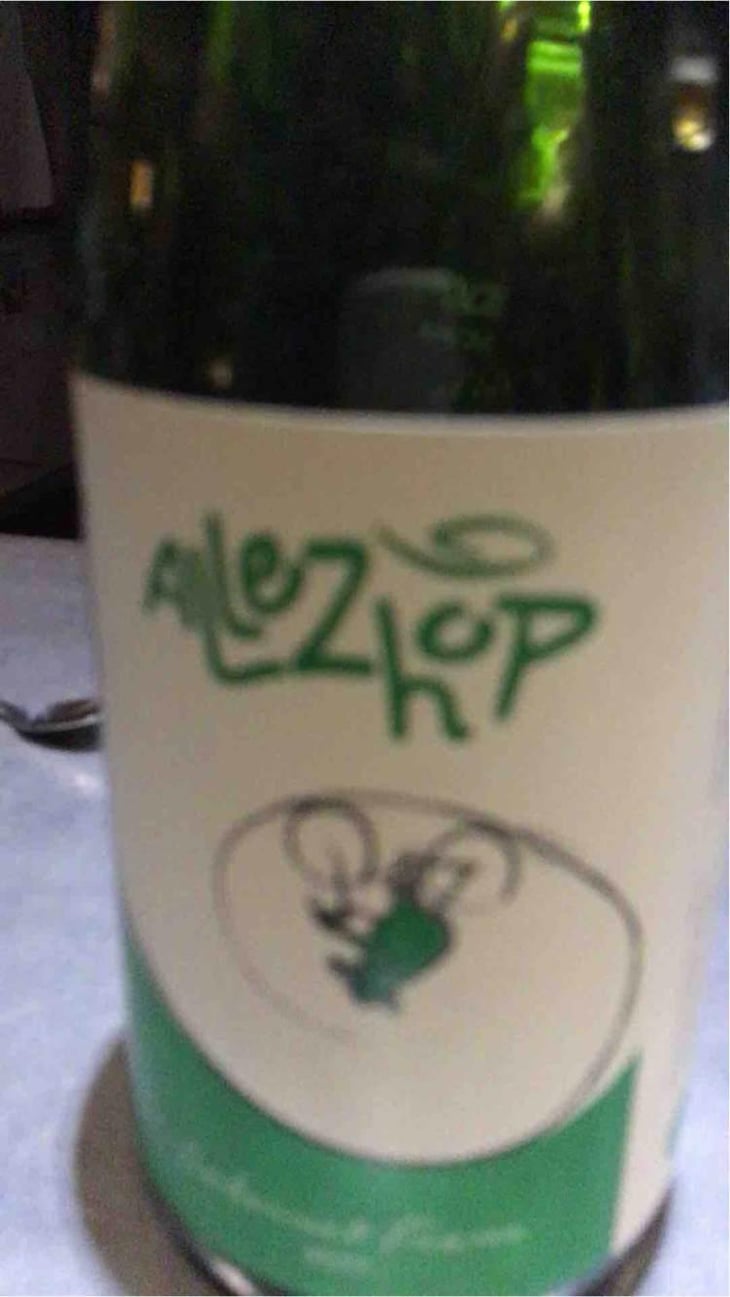 Allez Hop - Domaine La Taupe - Nicole Messer & Bertjan Mol 