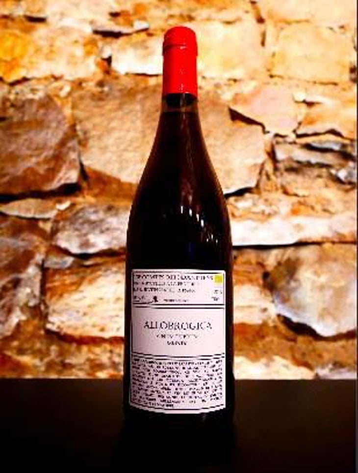 Allobrogica - Domaine des Buis Rond - Quentin Harel 