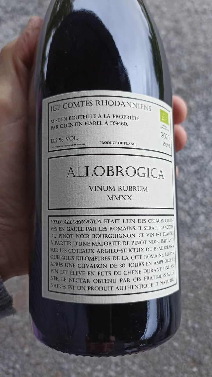 Allobrogica - Domaine des Buis Rond - Quentin Harel 