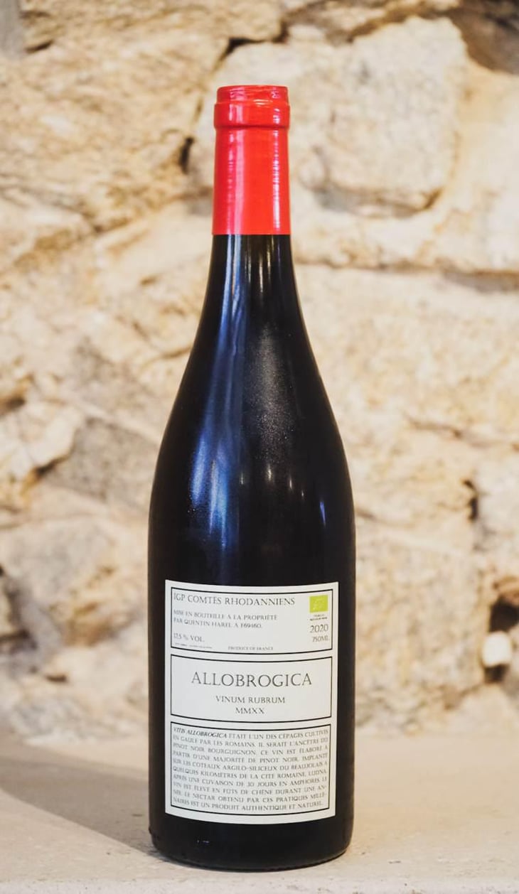 Allobrogica - Domaine des Buis Rond - Quentin Harel 