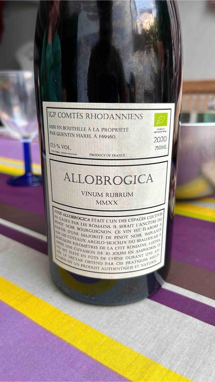 Allobrogica - Domaine des Buis Rond - Quentin Harel 