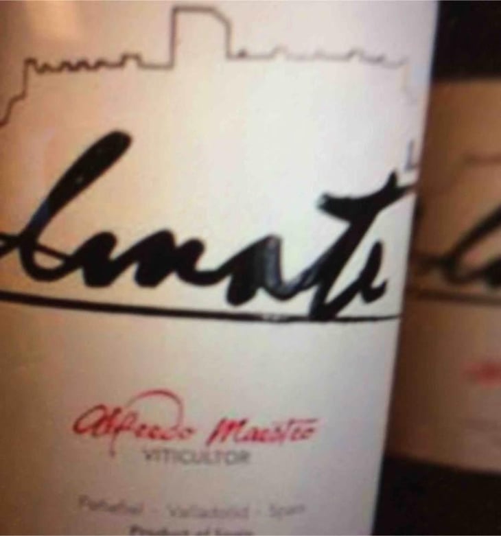 Almate - Bodegas y Viñedos Maestro Tejero - Alfredo Maestro Tejero 