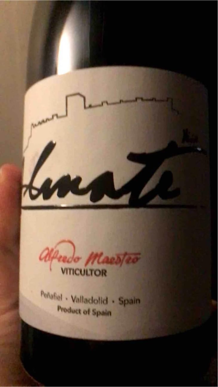 Almate - Bodegas y Viñedos Maestro Tejero - Alfredo Maestro Tejero 
