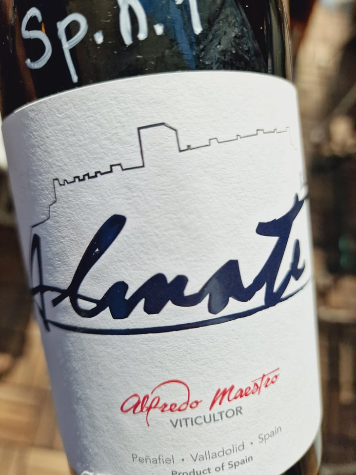 Almate - Bodegas y Viñedos Maestro Tejero - Alfredo Maestro Tejero 