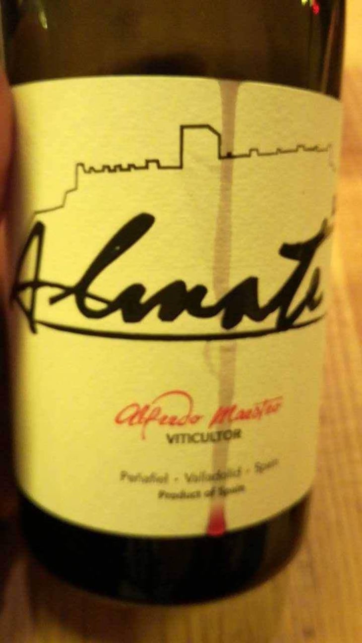 Almate - Bodegas y Viñedos Maestro Tejero - Alfredo Maestro Tejero 