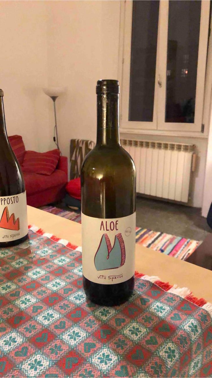 Aloe - Vite Sparse - Vite Sparse 