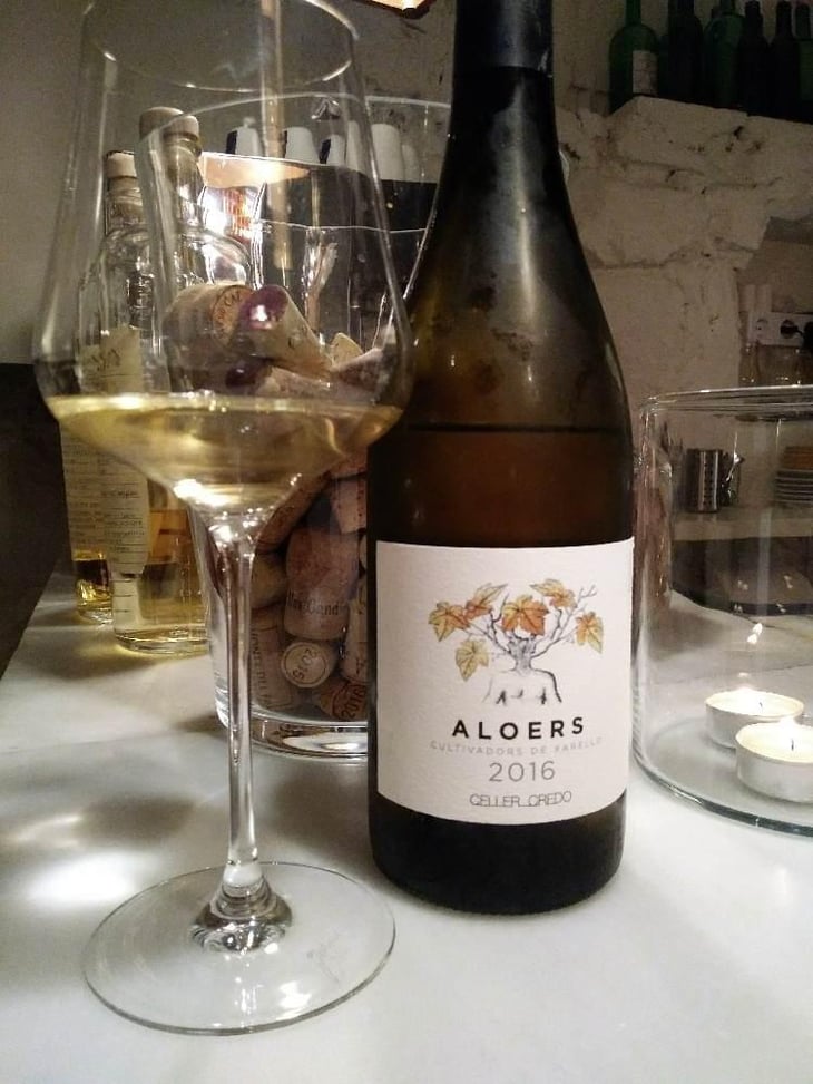 Aloers - Celler Credo - Ton Mata Moliner 