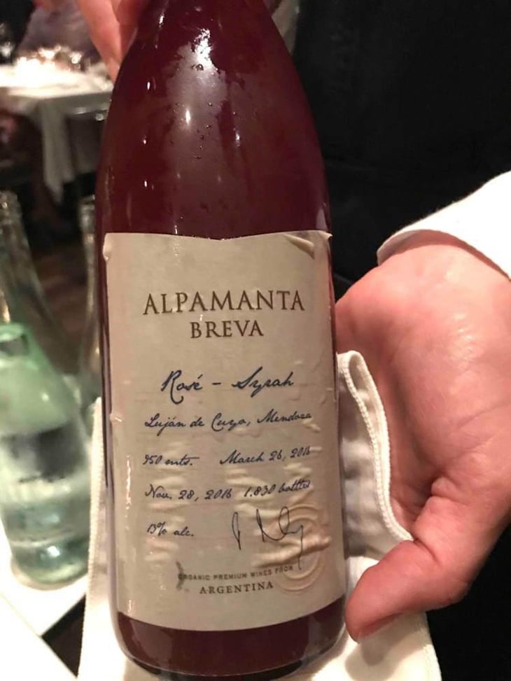 Alpamanta Breva - Luján de Cuyo, Mendoza - Giuseppe Franceschini 