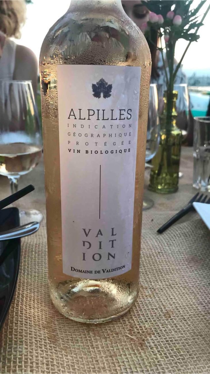 Alpilles - Domaine de Valdition - Domaine de Valdition 