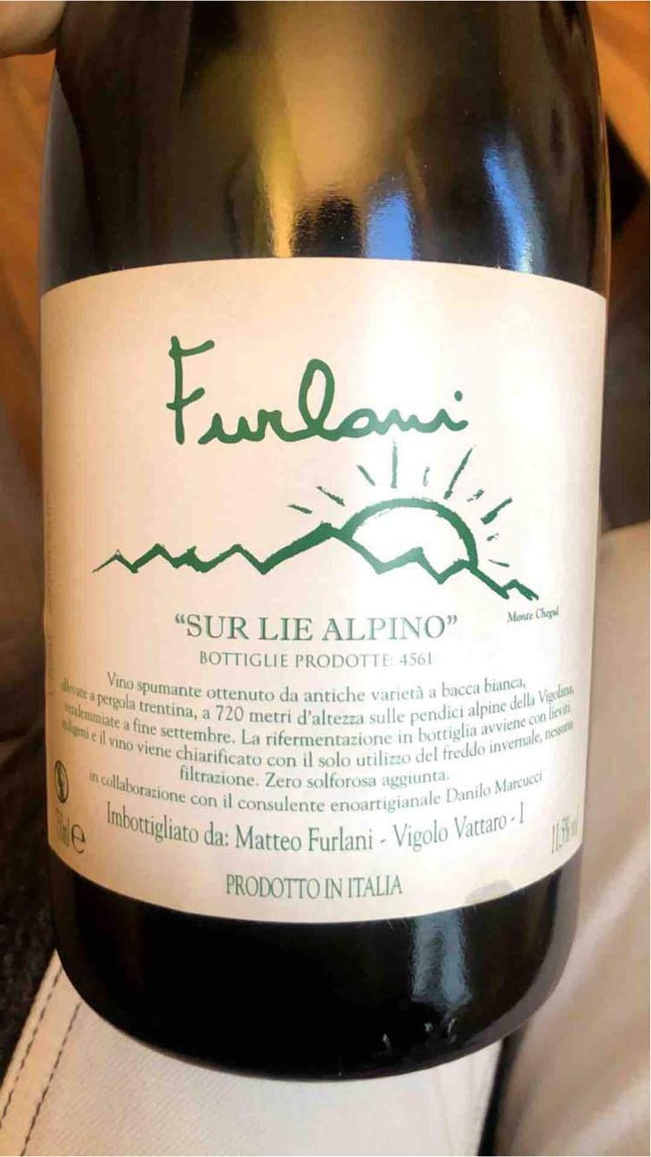 Alpino - Cantina Furlani - Matteo Furlani 
