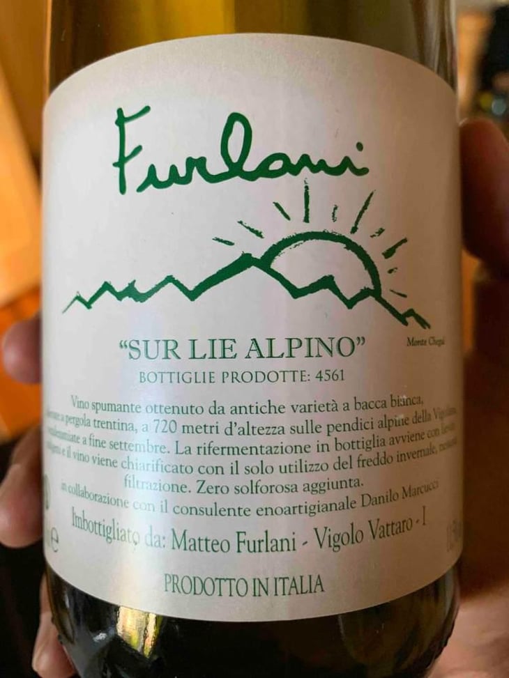 Alpino - Cantina Furlani - Matteo Furlani 