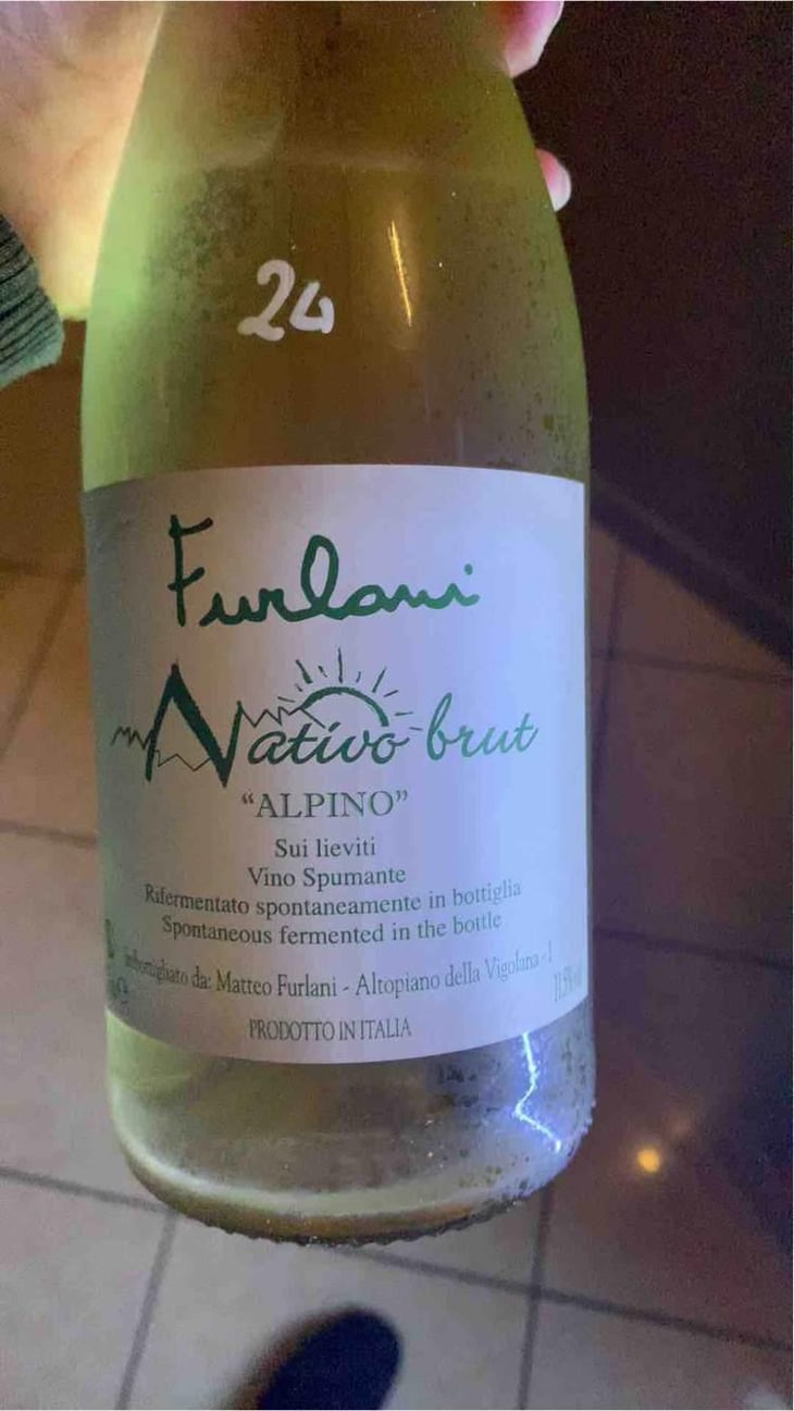 Alpino - Cantina Furlani - Matteo Furlani 