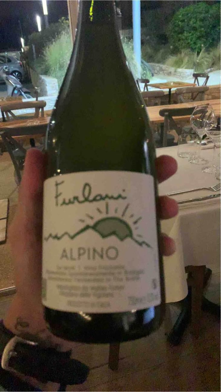 Alpino - Cantina Furlani - Matteo Furlani 