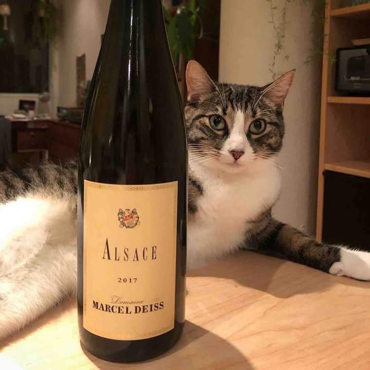 Alsace - Domaine Marcel Deiss - Jean-Michel Deiss 