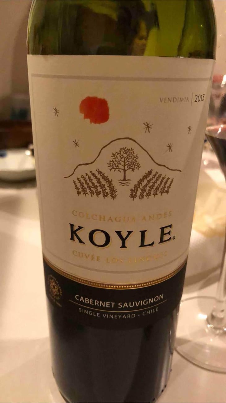 Alto Colchagua KOYLE - Vina Koyle - Cristobal Undurraga 