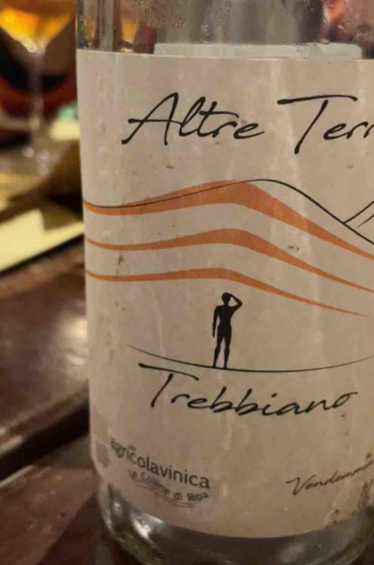 Altre Terre - Trebbiano Terre degli Osci - Azienda Agricolavinica - Rodolfo Gianserra e Giuseppe Tudino 