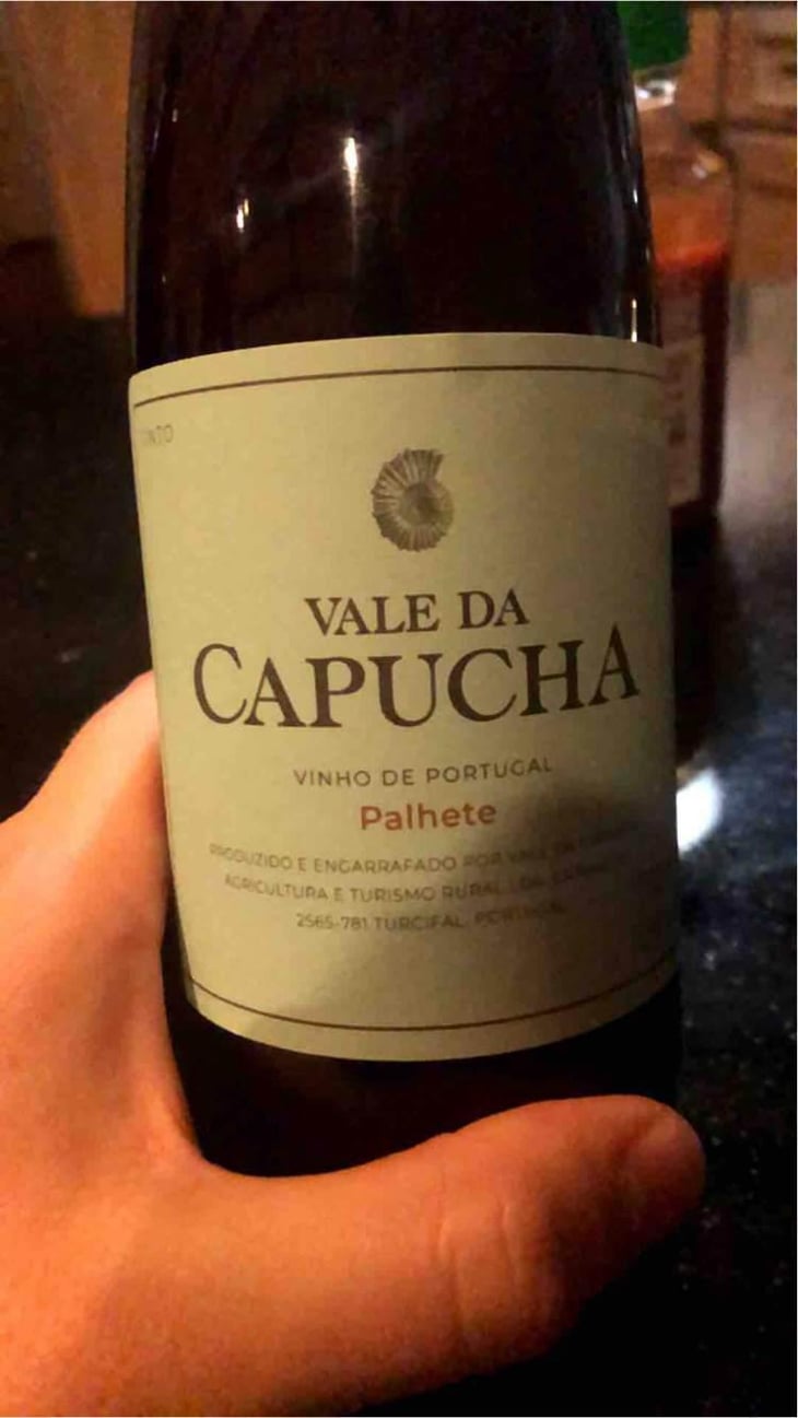 Alvarinho - Vale da Capucha - Pedro Marques 