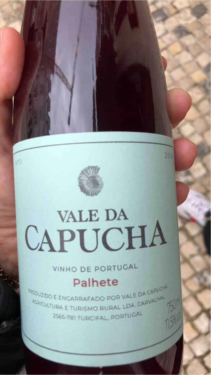 Alvarinho - Vale da Capucha - Pedro Marques 