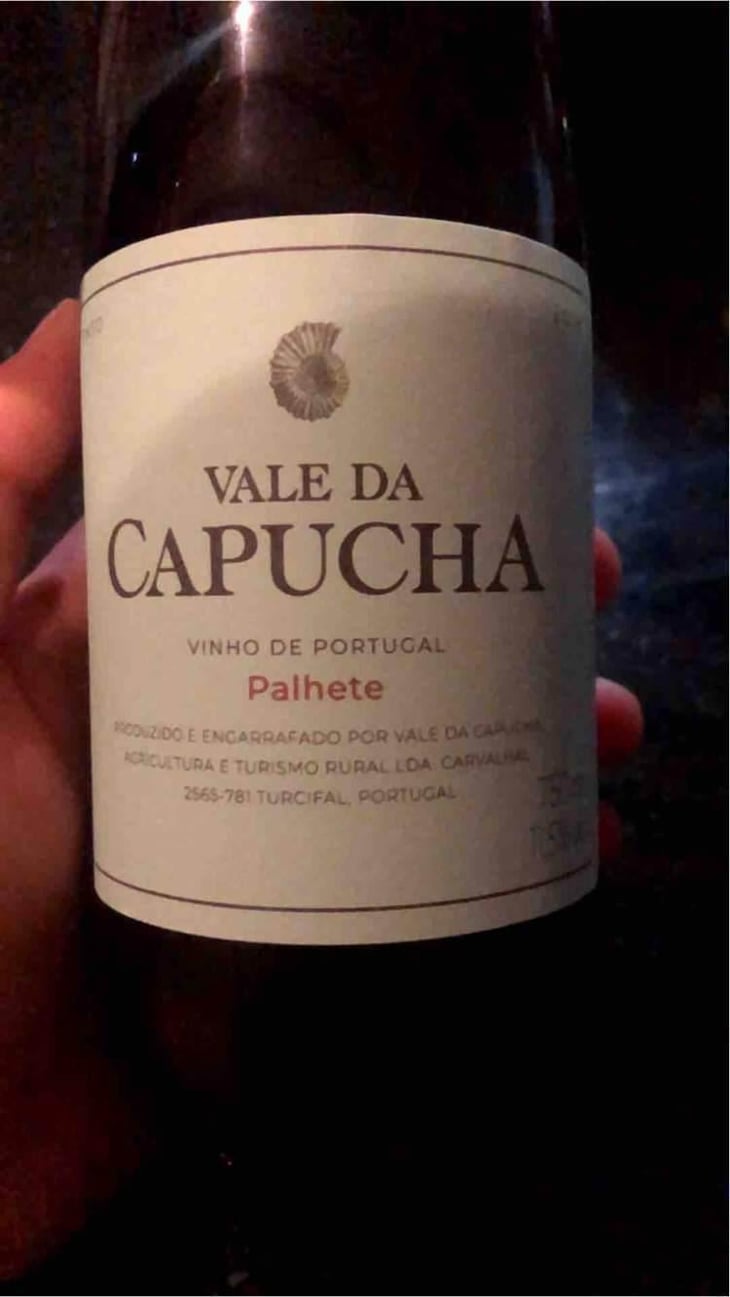 Alvarinho - Vale da Capucha - Pedro Marques 