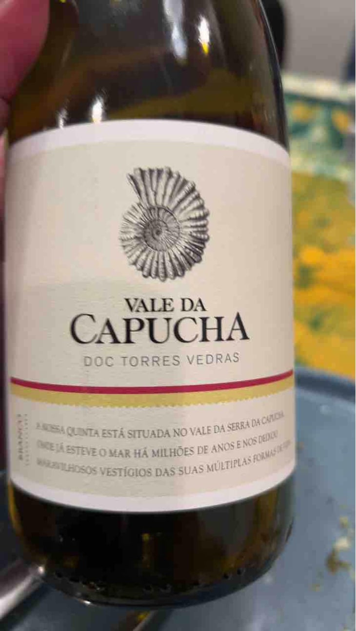 Alvarinho - Vale da Capucha - Pedro Marques 