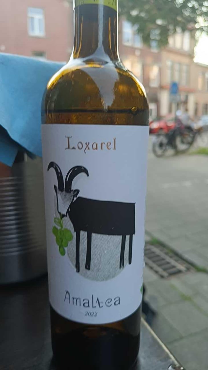 Amaltea Negre - Loxarel - Josep Mitjans 