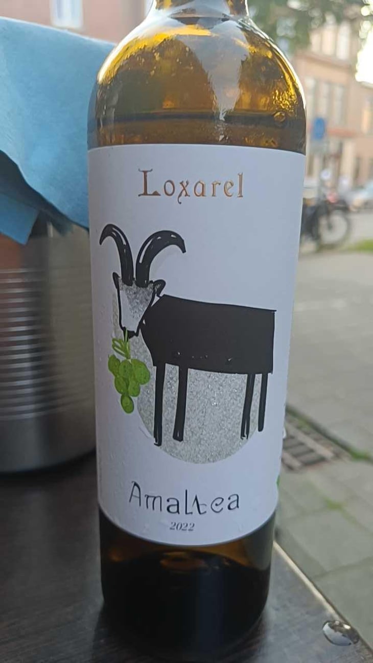 Amaltea Negre - Loxarel - Josep Mitjans 
