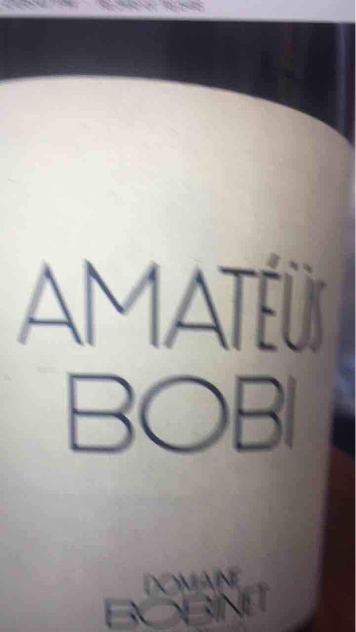 Amatéüs Bobi - Domaine Calvez-Bobinet - Sébastien Bobinet & Emeline Calvez 