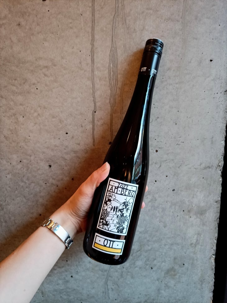 Amberg - Weingut Bernhard Ott - Bernhard Ott -2022
