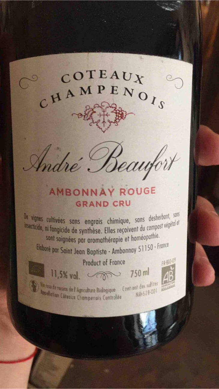 Ambonnay Rouge Grand Cru - Champagne André & Jacques Beaufort - André & Jacques Beaufort 