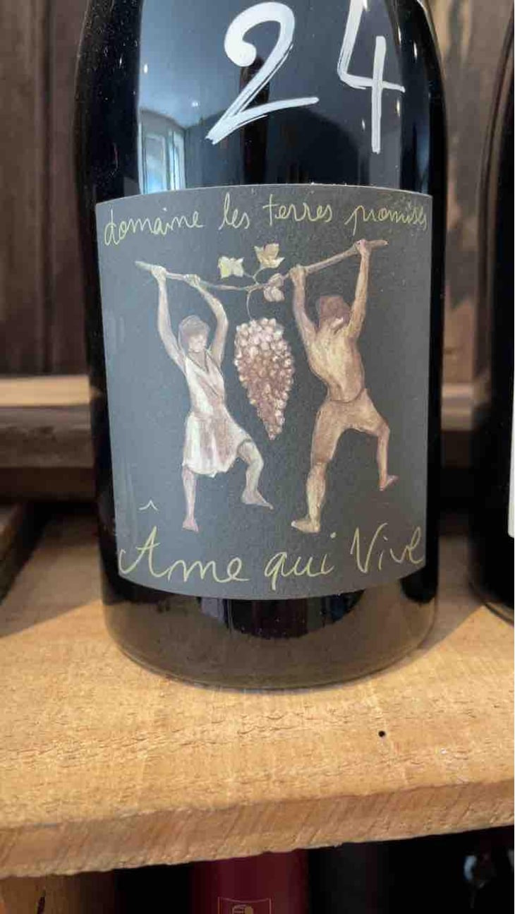 Âme Qui Vive - Les Terres Promises - Jean-Christophe Comor 