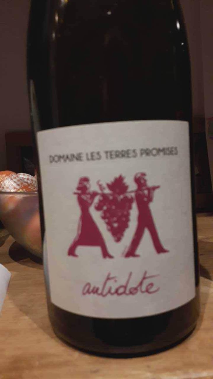 Âme Qui Vive - Les Terres Promises - Jean-Christophe Comor 
