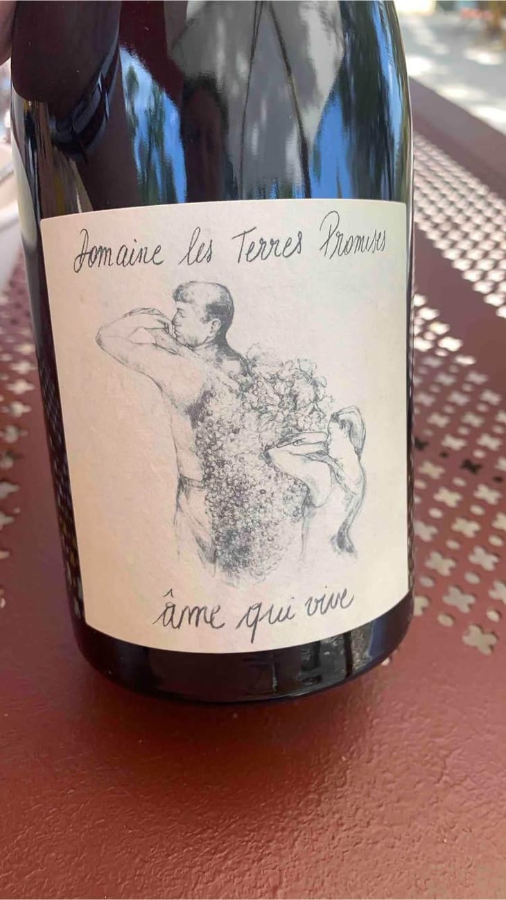 Âme Qui Vive - Les Terres Promises - Jean-Christophe Comor 