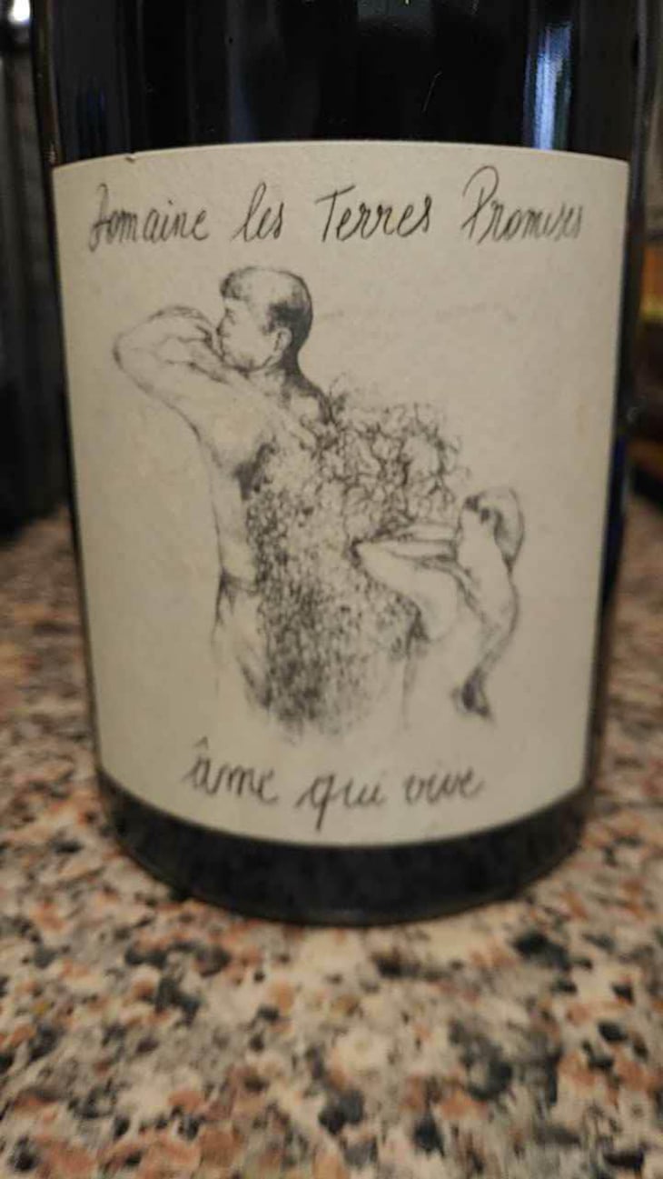 Âme Qui Vive - Les Terres Promises - Jean-Christophe Comor 