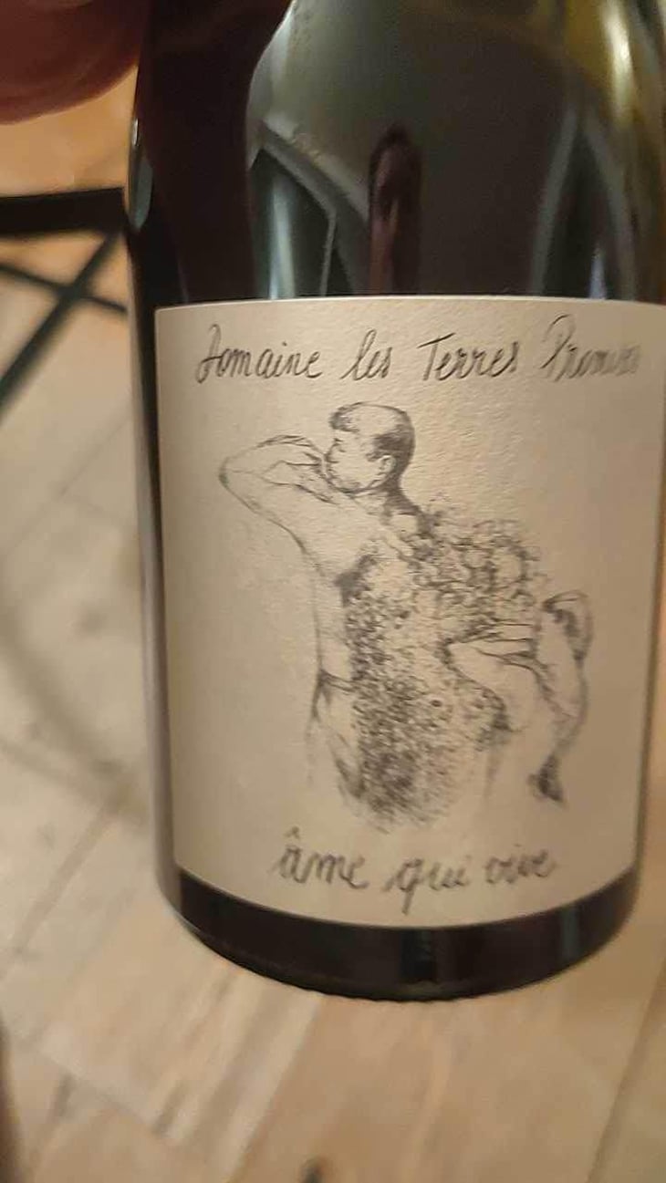 Âme Qui Vive - Les Terres Promises - Jean-Christophe Comor 
