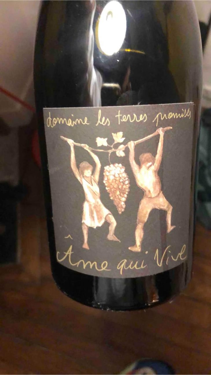 Âme Qui Vive - Les Terres Promises - Jean-Christophe Comor 