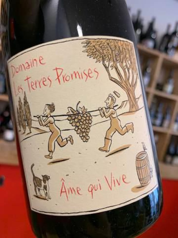 Âme Qui Vive - Les Terres Promises - Jean-Christophe Comor 