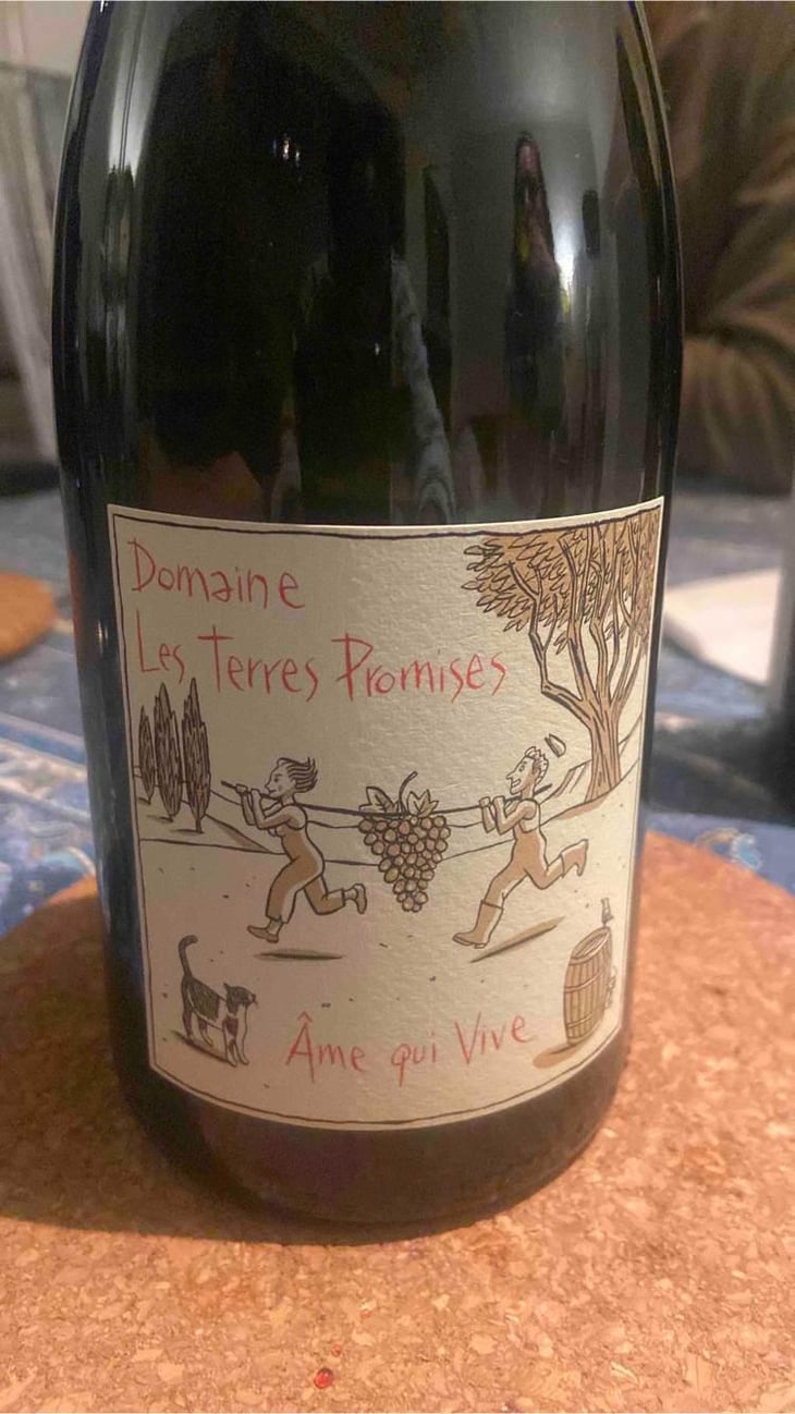 Âme Qui Vive - Les Terres Promises - Jean-Christophe Comor 