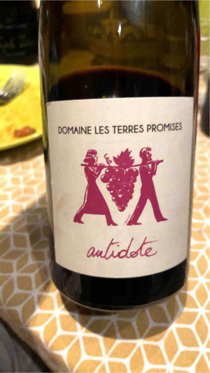 Âme Qui Vive - Les Terres Promises - Jean-Christophe Comor 