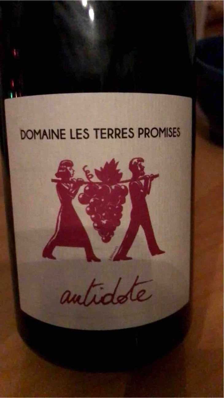 Âme Qui Vive - Les Terres Promises - Jean-Christophe Comor 