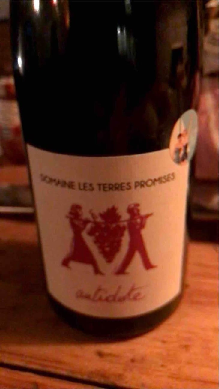 Âme Qui Vive - Les Terres Promises - Jean-Christophe Comor 