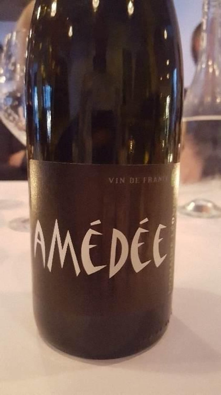 Amédée Rouge - Domaine Léonine - Jordan Le Guyader 