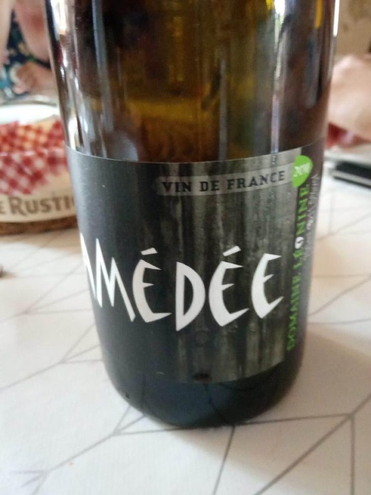 Amédée Rouge - Domaine Léonine - Jordan Le Guyader 